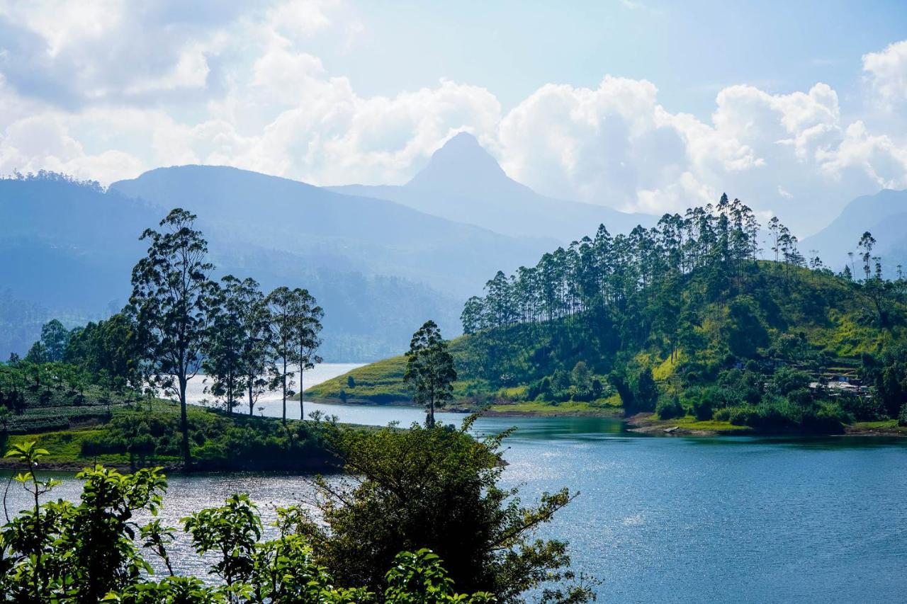 Pekoe Lodge Maskeliya Екстер'єр фото